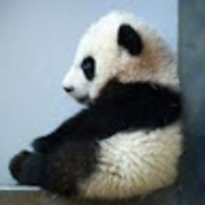 Meet your Posher, Fluffy